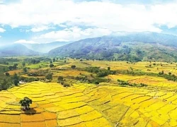 'Thức giấc' thôi... Đam Rông