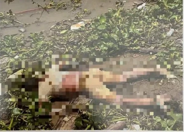 Tìm thân nhân của thi thể trôi trên sông Sài Gòn đoạn cư xá Thanh Đa