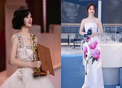 Triệu Lệ Dĩnh lao dốc không phanh: Từng là nữ hoàng giờ lại phải "làm nền"?