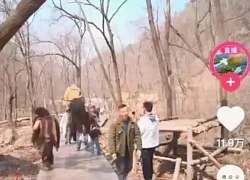 Việc nhẹ lương cao: Kiếm gần 2 triệu/ngày, gần 4.000 người tranh suất