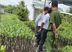 Vụ hỏi 'chứng chỉ ghép cây' ở Hậu Giang, lãnh đạo Sở Nông nghiệp và Môi trường nói gì?