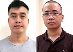 Bắt Chủ tịch Hội đồng quản trị Công ty Cổ phần Z Holding