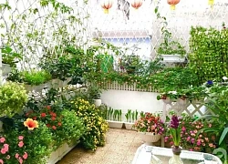 Cách cải tạo phong thủy nhà ở để tài lộc đong đầy, sự nghiệp thăng hoa