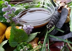 Cách chọn dầu gội thảo mộc phù hợp với từng loại tóc