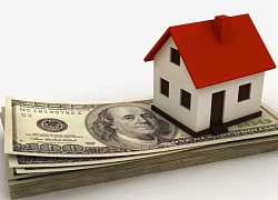 Công ty CP tập đoàn GBF kêu gọi đầu tư "siêu lợi nhuận" rồi chiếm đoạt