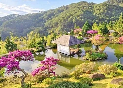 Đà Lạt lọt Top điểm đến chăm sóc sức khỏe hàng đầu Châu Á
