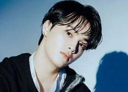 Dấu chấm hết của nam idol bị đuổi vì nghi có hành vi mua dâm với mỹ nhân 18+ đình đám
