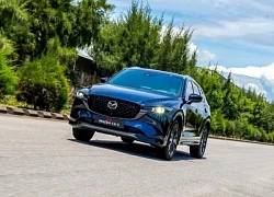 Đây là bộ ba SUV tầm giá từ 699 triệu đồng đáng sở hữu hiện nay