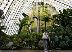 Đến Singapore dạo bước cùng khủng long thời tiền sử
