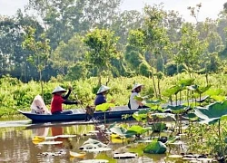 Du lịch Đồng bằng sông Cửu Long: Tạo điểm nhấn từ văn hóa, cảnh quan