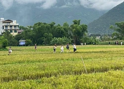 Hòa Bình: Phát triển tiềm năng du lịch cộng đồng trong vùng đồng bào dân tộc tại huyện Mai Châu