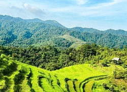 Hòa Bình: Xây dựng điểm đến du lịch hấp dẫn của vùng đồng bào dân tộc thiểu số tại huyện Cao Phong