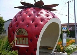 Khám phá những trạm chờ xe buýt độc đáo nhất trên thế giới
