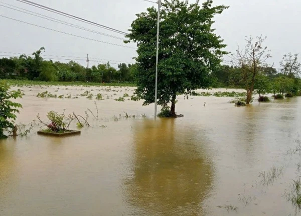 Khẩn cấp ứng phó với lũ trên sông Cầu