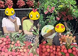 "Khối nghỉ hè" dùng TikTok rao bán vải hộ bố mẹ, 2h sáng được huy động ra vườn soi đèn thu hoạch