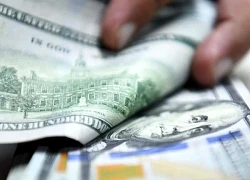 Vốn đầu tư nước ngoài toàn cầu chưa đảm bảo phát triển bền vững