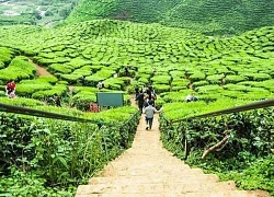 Malaysia - hành trình khám phá những danh lam thắng cảnh kỳ thú