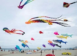 Mùa hè Đà Nẵng rực rỡ với 'Sắc màu trên không'