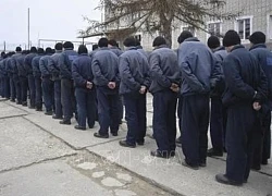 Nga và Ukraine tiến hành đợt trao đổi tù binh đợt mới