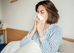 Phân biệt triệu chứng cảm lạnh và dị ứng