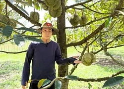 Rộ tour du lịch sầu riêng ở Đông Nam Á