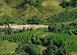 'Trốn phố' lên Y Tý tắm thác, ngắm lúa xanh