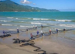 Trọn tình yêu với biển