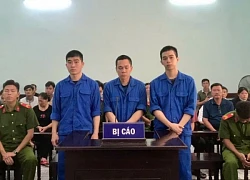 Vào bar rồi... phê ma túy, 3 nam thanh niên chia nhau gần 19 năm tù