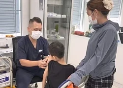 Về quê nghỉ hè, nhiều trẻ bị chó cắn