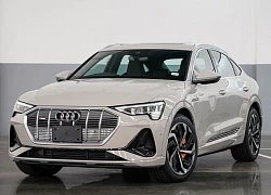 Audi, Mercedes xem xét lại thời điểm ngừng bán xe xăng