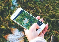 Biến iPhone thành máy ảnh SLR chưa bao giờ dễ đến thế
