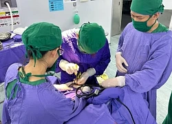 Cứu cô gái bị lưỡi kéo đâm xuyên sọ