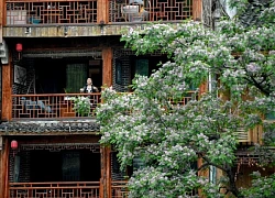 Đi Trung Quốc, tour nào đang cháy vé?