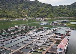 Du lịch kết hợp ngư nghiệp tạo sự phát triển bền vững