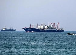 EU cảnh báo hậu quả 'cực kỳ nguy hiểm' nếu Eo biển Hormuz bị đóng cửa
