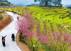 Hòa Bình đón hơn 3 triệu lượt khách trong nửa đầu năm 2025