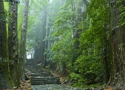 Kumano Kodo tuyến đường hành hương di sản tại Nhật Bản