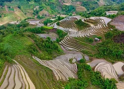 Ngỡ ngàng trước vẻ đẹp mùa nước đổ trên ruộng bậc thang ở Lào Cai