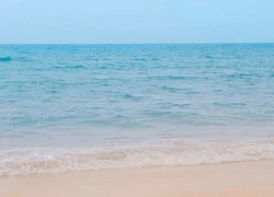 6 trải nghiệm thú vị trong 10 ngày làm tình nguyện viên bảo tồn rùa biển