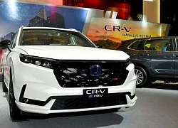 Ô tô hybrid bán ra tăng mạnh ở Việt Nam