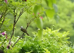 Tháng sinh Âm lịch của người thông minh, sắc sảo