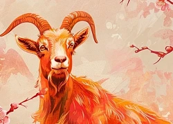 Tử vi 12 con giáp hôm nay 23/6: Ngọ trầm bổng, Thìn tiến triển tích cực