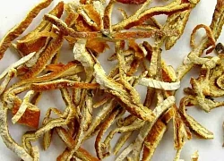 6 vị thuốc phòng và trị rối loạn tiêu hóa mùa hè