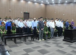 Bị cáo Nguyễn Văn Hậu xin được bán 196 bất động sản để khắc phục hậu quả