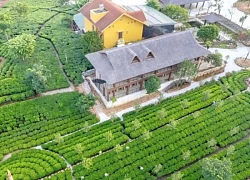 Cách thu hút du khách của những nông dân thế hệ mới
