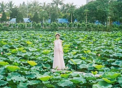 Cộng đồng Check in Vietnam sôi nổi check in mùa sen tháng 6, rủ nhau đi săn những đầm sen đẹp nhất