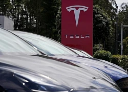 Doanh số bán xe của Tesla tại châu Âu giảm dù thị trường xe điện phục hồi