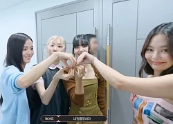 Fan tuyệt vọng trước các quyết định của YG và BLACKPINK
