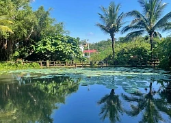 Khu du lịch sinh thái KoTam (TP. Buôn Ma Thuột - Đắk Lắk): Viên ngọc xanh giữa vùng đất đỏ Buôn Ma Thuột