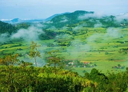 'Miền an nhiên' giữa lòng Đà Lạt